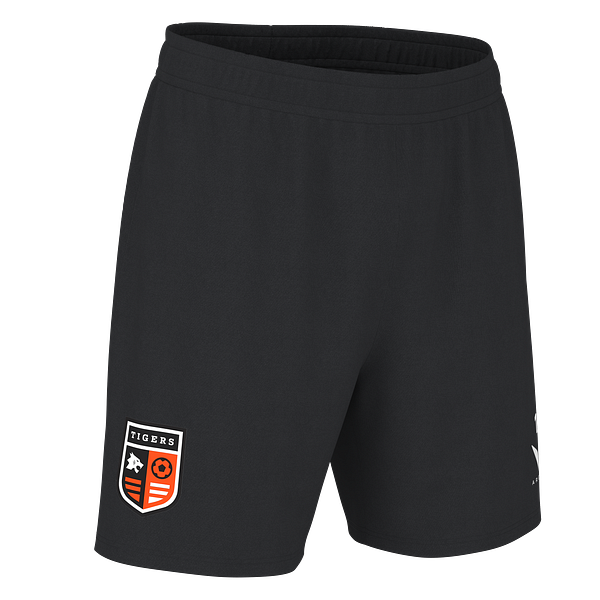 South Hadley Essential Shorts