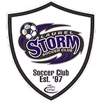Laurel Storm Logo