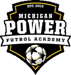 Michigan Power Logo