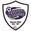 Laurel Storm Logo