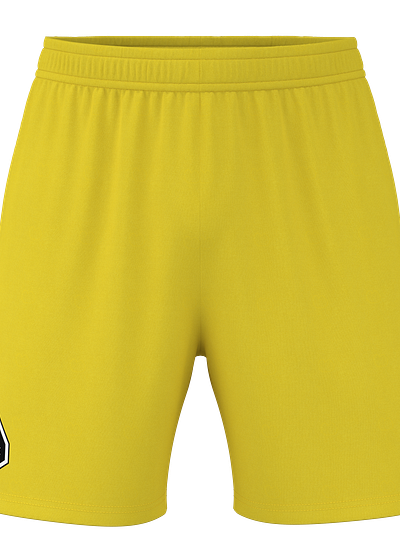 Stillwater SC Pulse Z Game Shorts